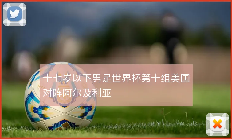十七岁以下男足世界杯第十组美国对阵阿尔及利亚