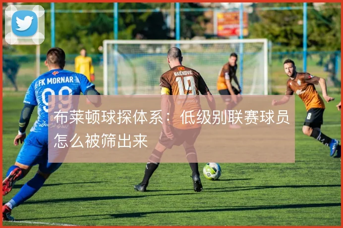 布莱顿球探体系：低级别联赛球员怎么被筛出来